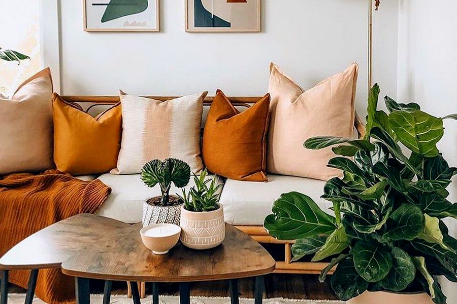 Membawa Kehidupan ke Ruang Tamu dan Kamar dengan Tanaman