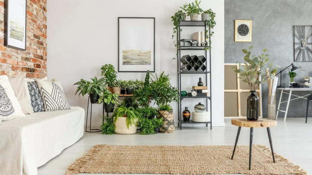 Cara Menata Tanaman Agar Apartemen Terasa Lebih Hidup